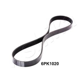 Achetez des Courroie Poly-V ASHIKA 112-6PK1020 à prix pour 14,04 €
