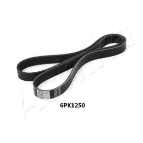 Achetez des Courroie Poly-V ASHIKA 112-6PK1250 à prix pour 16,32 €