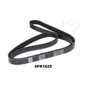 Achetez des Courroie Poly-V ASHIKA 112-6PK1625 à prix pour 19,43 €