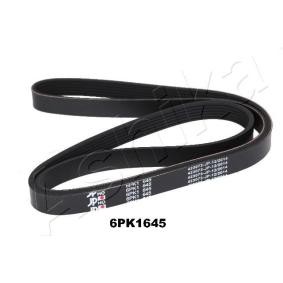 Achetez des Courroie Poly-V ASHIKA 112-6PK1645 à prix pour 19,80 €