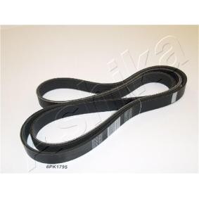 Achetez des Courroie Poly-V ASHIKA 112-6PK1795 à prix pour 15,63 €