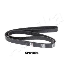 Achetez des Courroie Poly-V ASHIKA 112-6PK1895 à prix pour 21,88 €