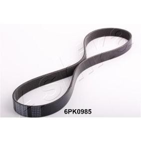 Achetez des Courroie Poly-V ASHIKA 112-6PK985 à prix pour 13,14 €