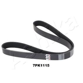 Achetez des Courroie Poly-V ASHIKA 112-7PK1115 à prix pour 16,51 €