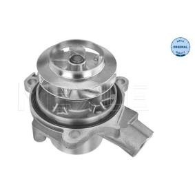 Wasserpumpe 113 220 0029 MAN von MEYLE