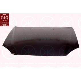 Motorhaube 1132280