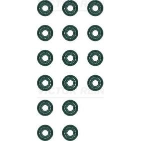 Comprar Juego de juntas, vástago de válvula de REINZ 12-54071-02 a bajo precio de 36,32 €