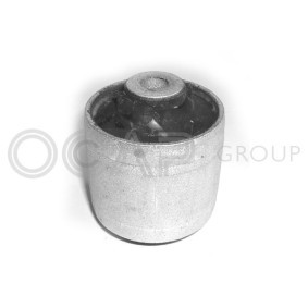 Acquista Supporto braccio oscillante da OCAP 1215743 a buon mercato per soli 46,42 €