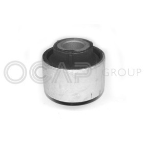 Lagerung, Lenker 1215956 für CLIO II (BB0/1/2_, CB0/1/2_) für 8,74 CHF