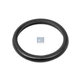 Dichtung, Thermostat 13.42091 FORD TOURNEO CONNECT von DT Spare Parts