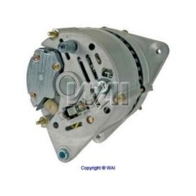 Lichtmaschine 13107N