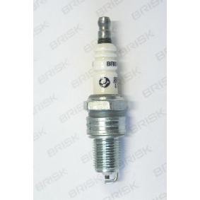 Acquista Candela accensione da BRISK 1313 a buon mercato per soli 30,57 €