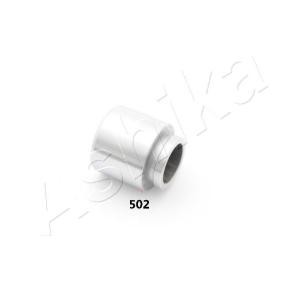Køb Stempel, bremsekaliper af ASHIKA 133-05-502 til den lave pris 358,51 DKK