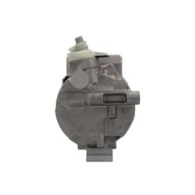 Lichtmaschine von BV PSH