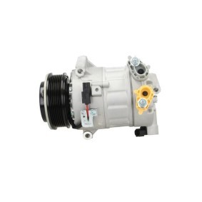 Lichtmaschine von BV PSH