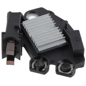 Lichtmaschine von BV PSH