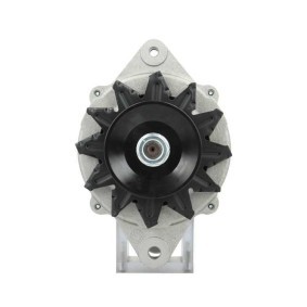 Lichtmaschine von BV PSH