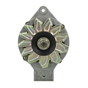 Lichtmaschine von BV PSH