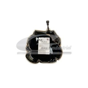 Comprar Brazo tensor, correa poli V de 3RG 13700 a bajo precio de 44,58 €