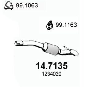 Endschalldämpfer von ASSO für C-MAX (DM2) günstig online kaufen