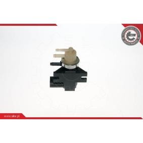 Druckwandler, Turbolader von ESEN SKV