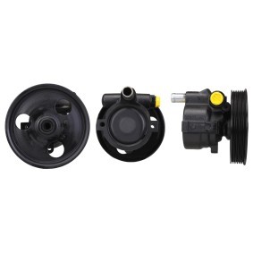 Servopumpe 15-0632