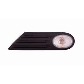 Blinker für MINI von IPARLUX