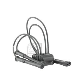 Køb Tændspole af EFI AUTOMOTIVE 151401 til den lave pris 566,92 DKK