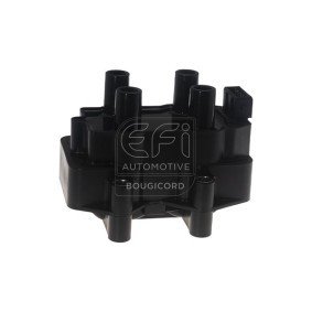 Køb Tændspole af EFI AUTOMOTIVE 155033 til den lave pris 1569,22 DKK