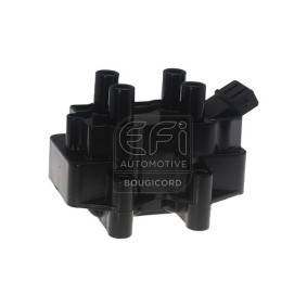 Køb Tændspole af EFI AUTOMOTIVE 155034 til den lave pris 1784,85 DKK