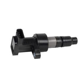 Køb Tændspole af EFI AUTOMOTIVE 155245 til den lave pris 1376,82 DKK