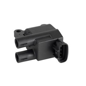 Køb Tændspole af EFI AUTOMOTIVE 155436 til den lave pris 1871,37 DKK