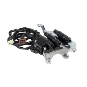 Køb Tændspole af EFI AUTOMOTIVE 155439 til den lave pris 4560,59 DKK