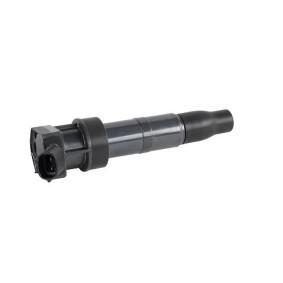 Køb Tændspole af EFI AUTOMOTIVE 155452 til den lave pris 1660,68 DKK