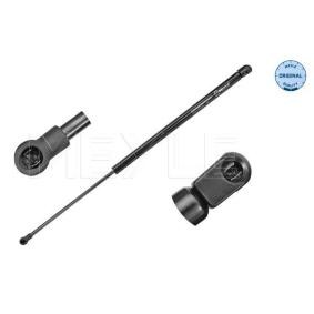 Heckklappendämpfer 16-40 910 0004 für RENAULT