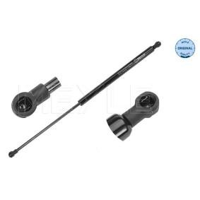 Heckklappendämpfer 16-40 910 0006 für RENAULT