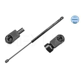 Heckklappendämpfer 16-40 910 0015 für RENAULT