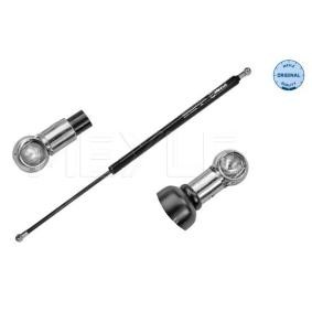 Heckklappendämpfer 16-40 910 0016 für RENAULT