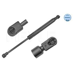 Compre Amortecedor da mala da MEYLE 16-40 910 0021 a um preço baixo por 10,37 €