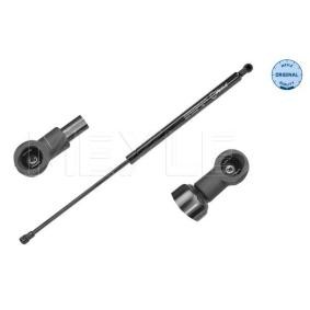 Heckklappendämpfer 16-40 910 0023 für RENAULT
