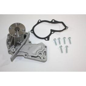 Achetez des Pompe à eau AUTOMEGA 160029410 à prix pour 36,25 €