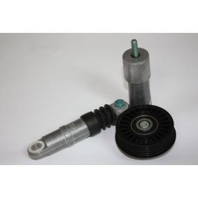 Compre Rolo tensor, correia trapezoidal estriada da AUTOMEGA 160034310 a um preço baixo por 82,37 €