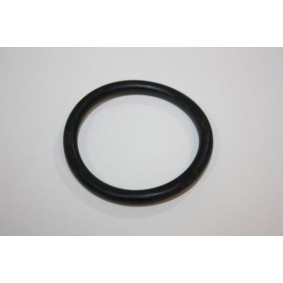 Achetez des Pompe à eau AUTOMEGA 160038010 à prix pour 27,35 €