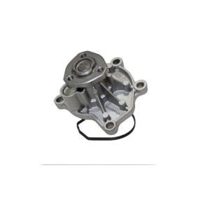 Achetez des Pompe à eau AUTOMEGA 160038510 à prix pour 28,15 €