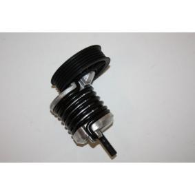 Comprar Tensor de correa poli V de AUTOMEGA 160064410 a bajo precio de 54,46 €