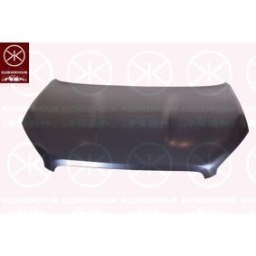 Motorhaube 1617281A1