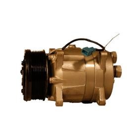 Acquista Compressore aria condizionata da SERCORE 16CA100 a buon mercato per soli 282,88 €