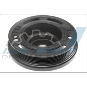 Achetez des Poulie damper (vilebrequin) IJS GROUP 17-1181 à prix pour 69,65 €