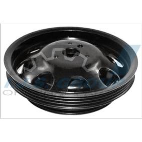 Acquista Puleggia cinghia albero a gomiti da IJS GROUP 17-1202 a buon mercato per soli 68,87 €
