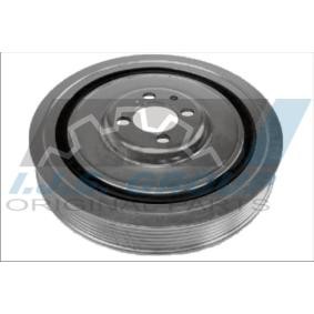 Achetez des Poulie damper (vilebrequin) IJS GROUP 17-1219 à prix pour 57,62 €